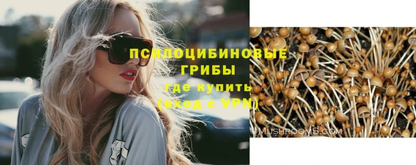 крисы Алексин