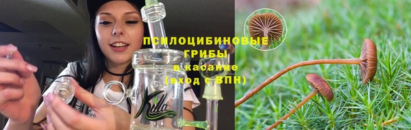 крисы Алексин