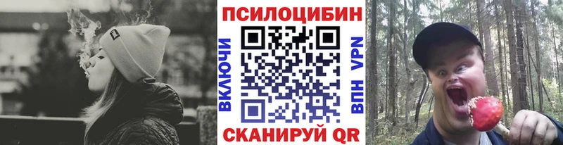 ссылка на мегу вход  Бодайбо  Галлюциногенные грибы Psilocybe 